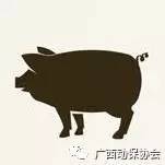 【行情】6月29日广西肉猪、毛鸭、豆粕原料等报价 畜牧局每10日畜禽产品价格统计