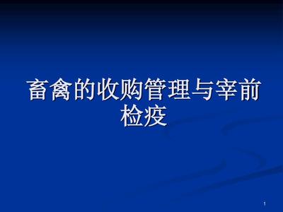 C宰前宰后检验